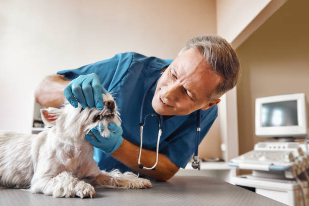 Best Weekend Emergency Dentist in Kentwood, MI